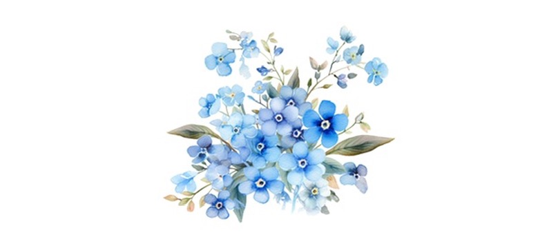 We’re home, now what?